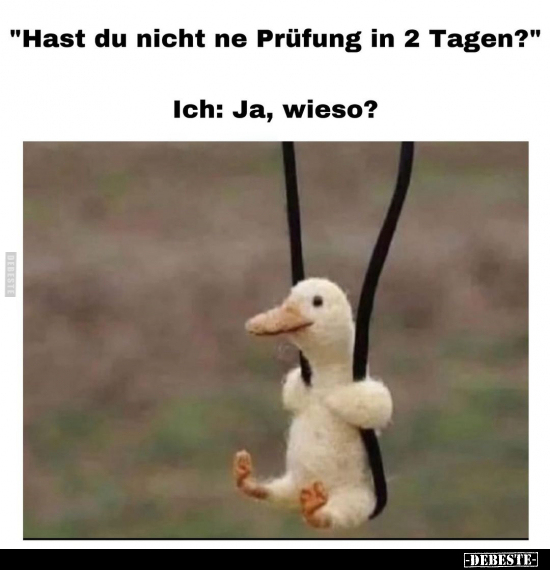 "Hast du nicht ne Prüfung in 2 Tagen?".. - Lustige Bilder | DEBESTE.de