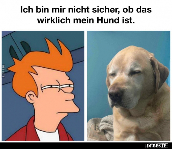 Ich bin mir nicht sicher, ob das wirklich mein Hund.. - Lustige Bilder | DEBESTE.de