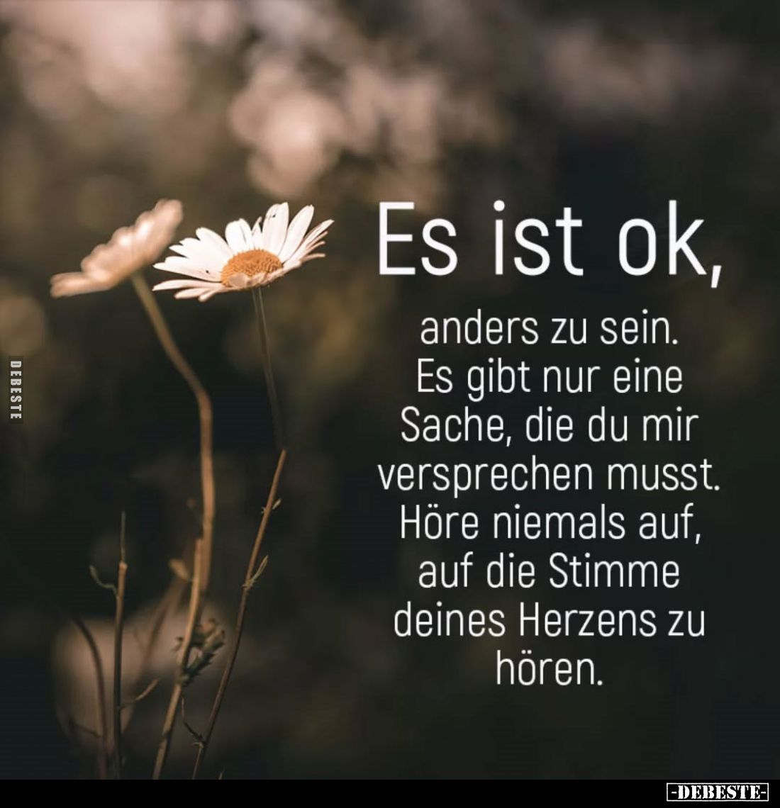 Es ist ok,
anders zu sein. Es gibt nur eine Sache, die du mir versprechen musst. Höre niemals auf, auf die Stimme deines Her...