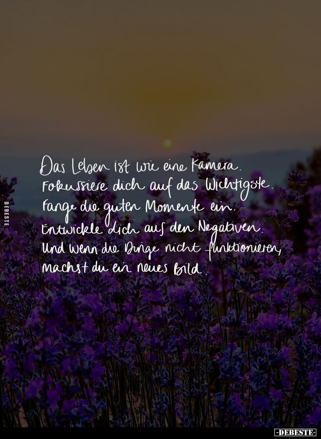 Das Leben ist wie eine Kamera. Fokussiere dich auf das Wichtigste. Fange die guten Momente ein. Entwickle dich aus den Negati...