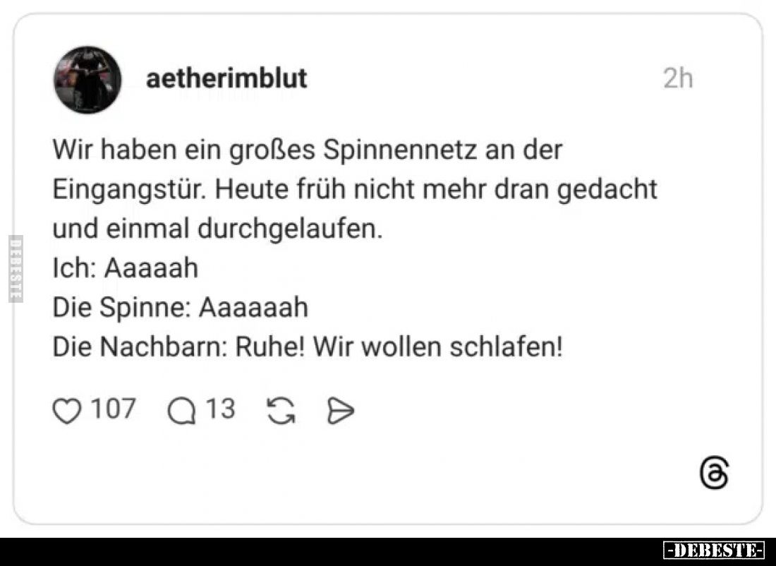 Wir haben ein großes Spinnennetz an der Eingangstür. Heute früh nicht mehr dran gedacht und einmal durchgelaufen.
Ich: Aaaaa...