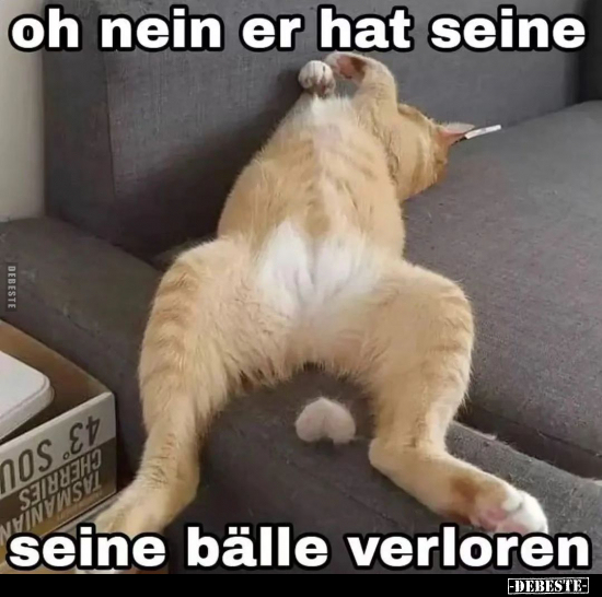 Oh nein er hat seine seine Bälle verloren.. - Lustige Bilder | DEBESTE.de