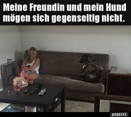 Meine Freundin und mein Hund mögen sich gegenseitig.. - Lustige Bilder | DEBESTE.de