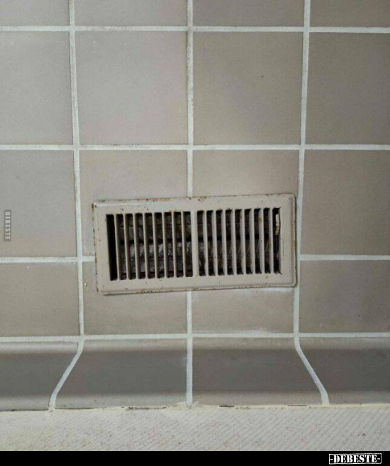  - Lustige Bilder | DEBESTE.de