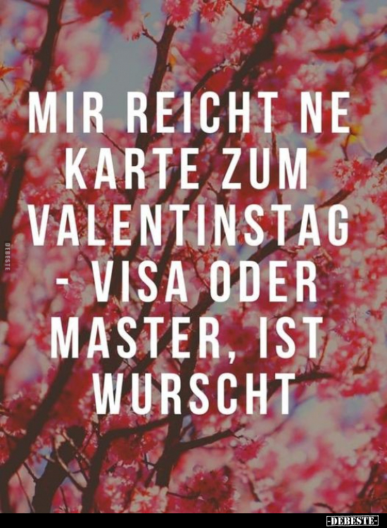 Mir reicht ne Karte zum Valentinstag.. - Lustige Bilder | DEBESTE.de
