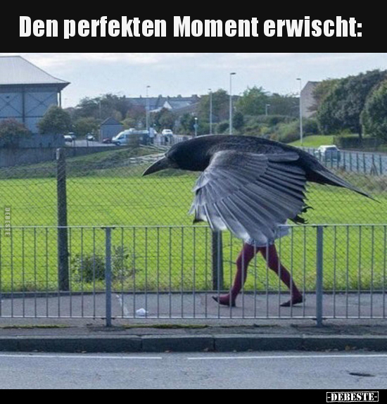 Den perfekten Moment erwischt.. - Lustige Bilder | DEBESTE.de