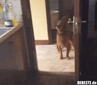 Kriegst mich nicht..