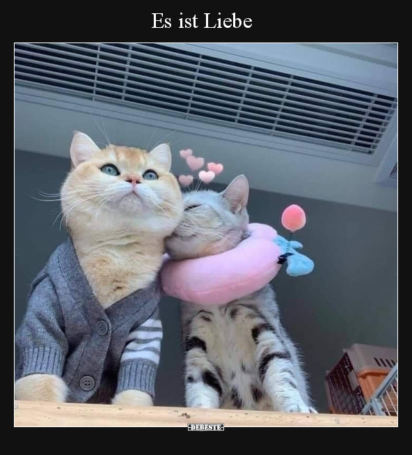 Es ist Liebe