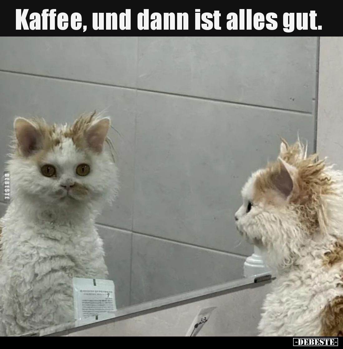 Kaffee, und dann ist alles gut.
