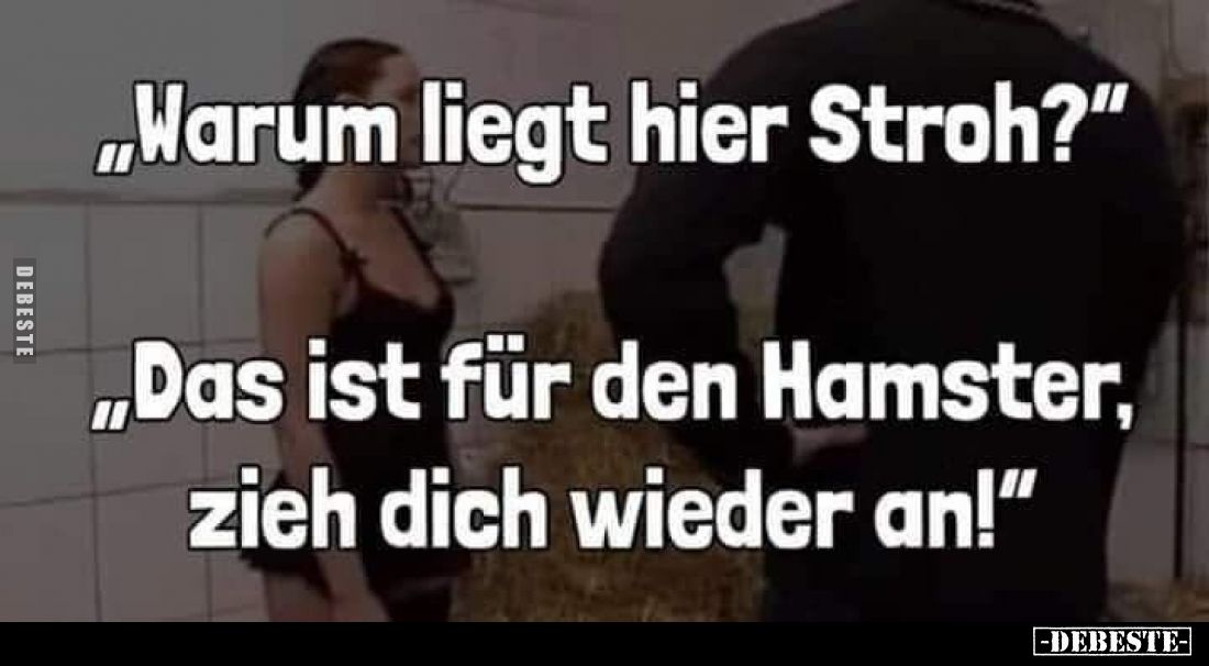 „Warum liegt hier Stroh?“

„Das ist für den Hamster, zieh dich wieder an!“