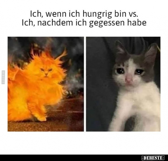 Ich, wenn ich hungrig bin vs. Ich, nachdem ich gegessen habe.. - Lustige Bilder | DEBESTE.de