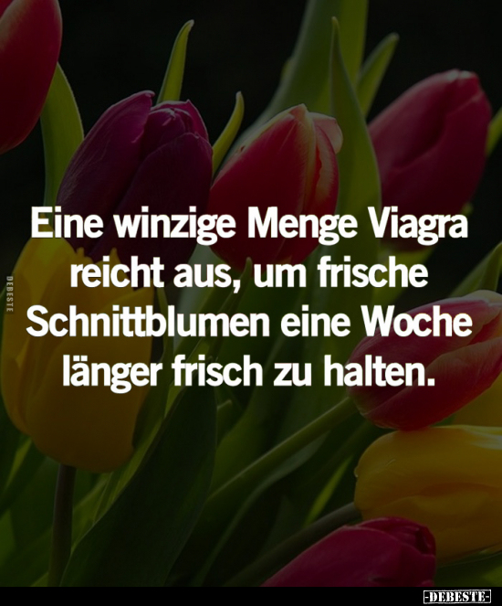 Eine winzige Menge Viagra reicht aus.. - Lustige Bilder | DEBESTE.de