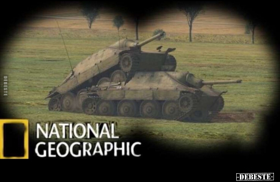  - Lustige Bilder | DEBESTE.de