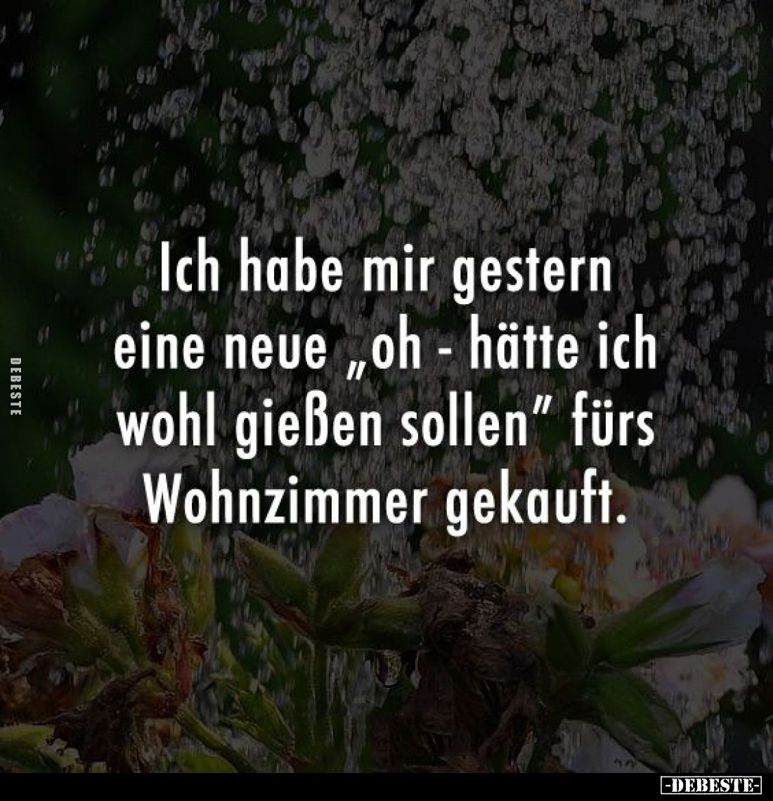 Ich habe mir gestern
eine neue "Oh - hätte ich
wohl gießen sollen" fürs
Wohnzimmer gekauft.