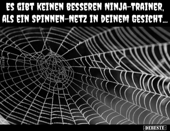 Es gibt keinen besseren Ninja-Trainer, als ein Spinnen-Netz.. - Lustige Bilder | DEBESTE.de