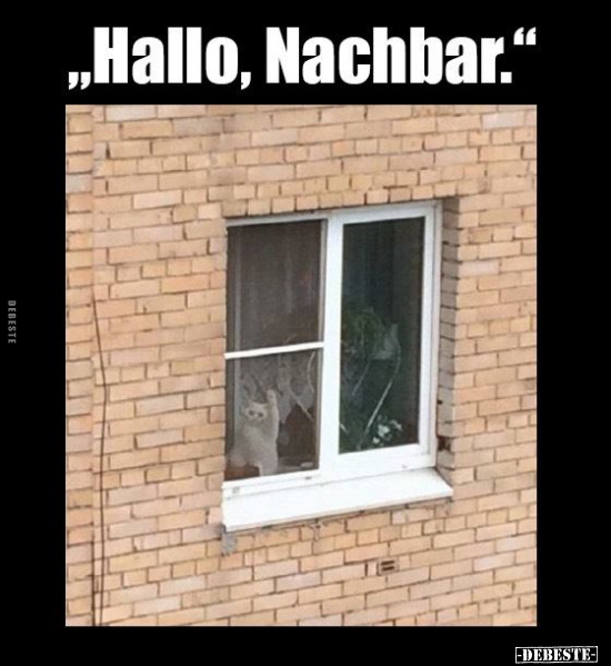 "Hallo, Nachbar."