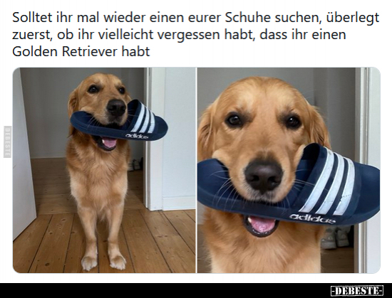 Solltet ihr mal wieder einen eurer Schuhe suchen.. - Lustige Bilder | DEBESTE.de