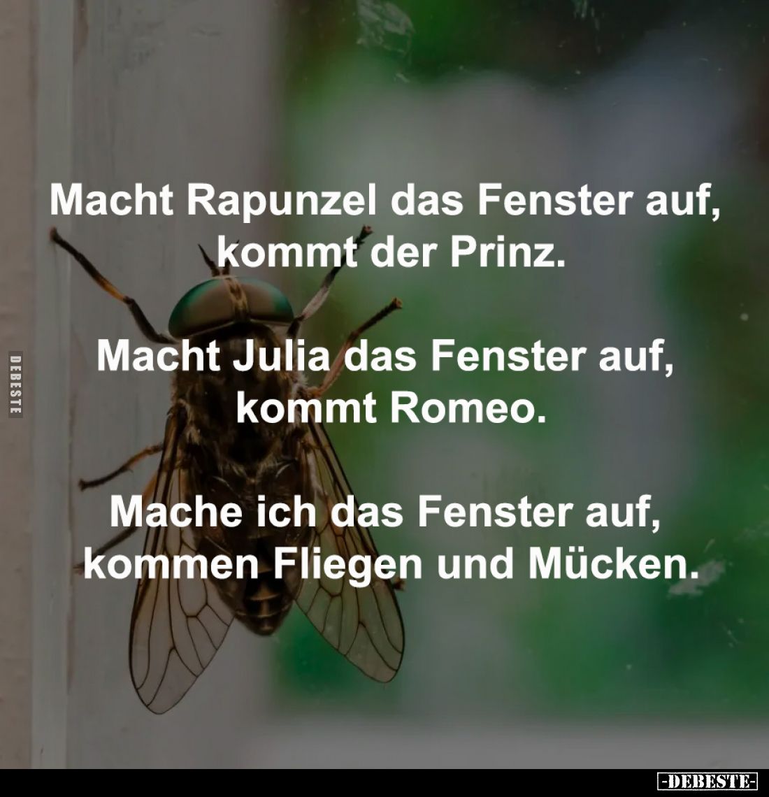 Macht Rapunzel das Fenster auf, kommt der Prinz.
Macht Julia das Fenster auf, kommt Romeo.
Mache ich das Fenster auf, komme...