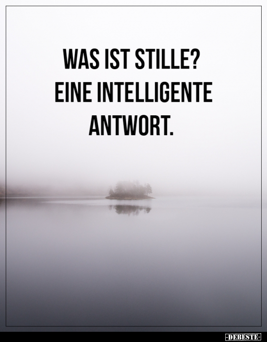 WAS IST STILLE? EINE INTELLIGENTE ANTWORT... - Lustige Bilder | DEBESTE.de
