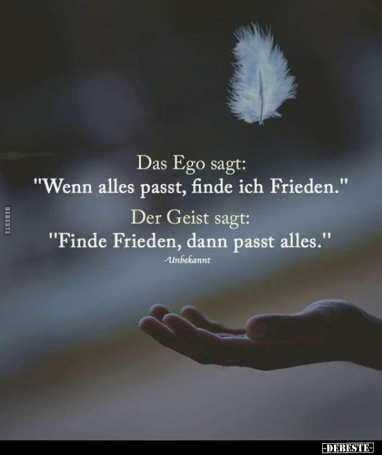 Das Ego sagt: "Wenn alles passt, finde ich Frieden..." - Lustige Bilder | DEBESTE.de