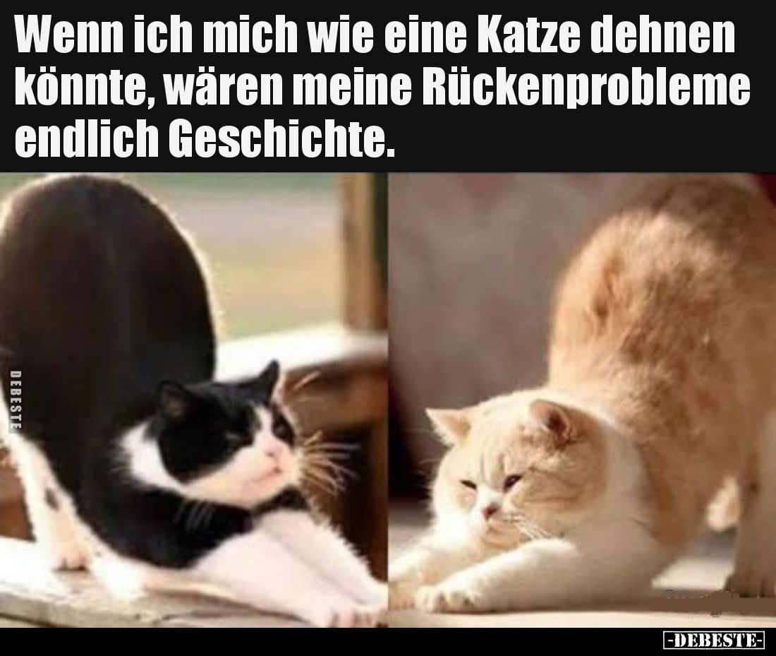 Wenn ich mich wie eine Katze dehnen könnte, wären meine.. - Lustige Bilder | DEBESTE.de