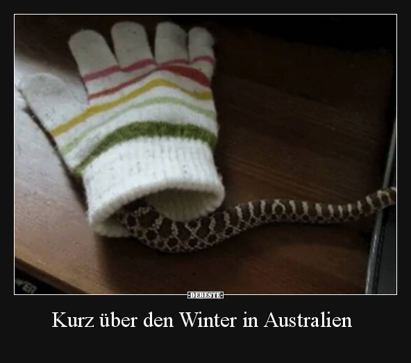 Kurz über den Winter in Australien.. - Lustige Bilder | DEBESTE.de