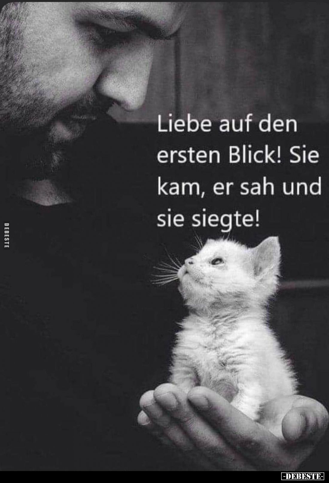 Liebe auf den ersten Blick! Sie kam, er sah und sie siegte!