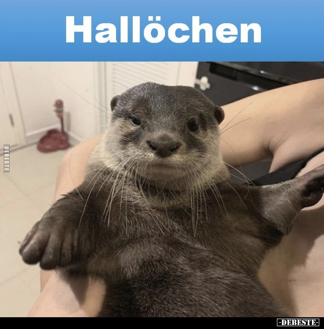 Hallöchen