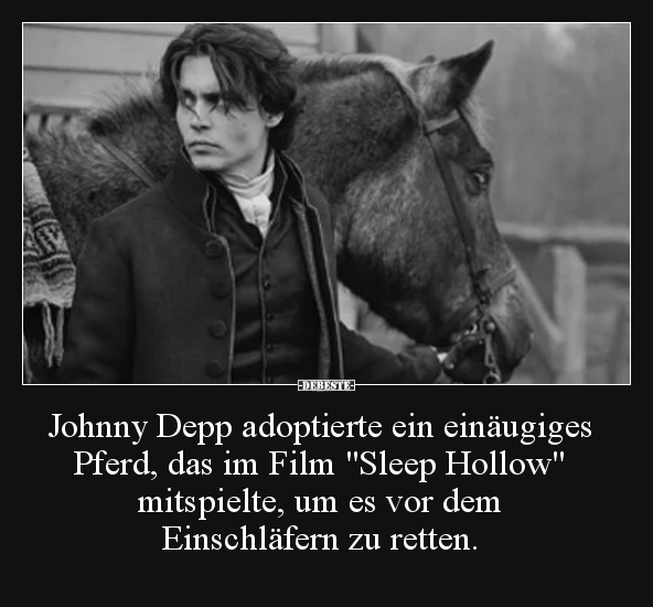 Johnny Depp adoptierte ein einäugiges Pferd, das im Film.. - Lustige Bilder | DEBESTE.de