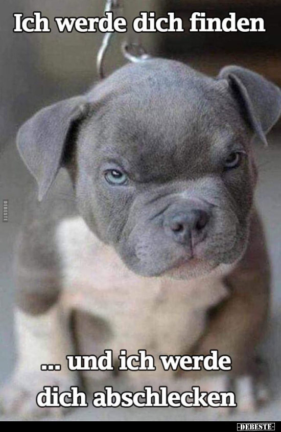 Ich werde dich finden ...und ich werde dich abschlecken...