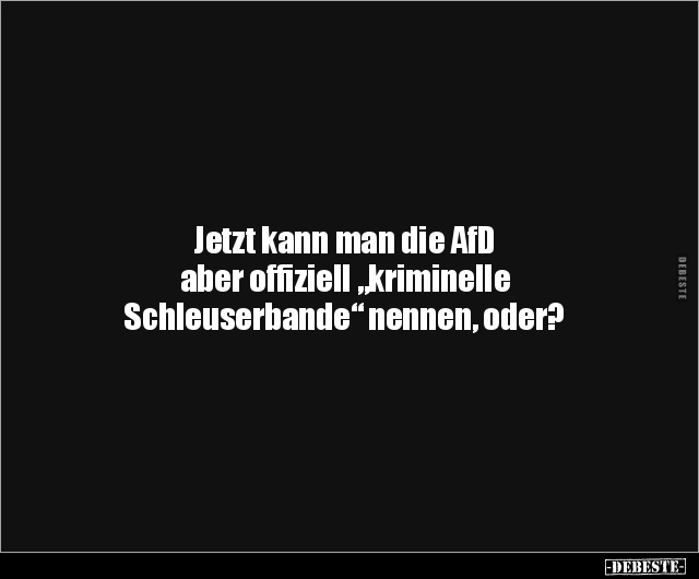 Jetzt kann man die AfD aber offiziell "kriminelle.." - Lustige Bilder | DEBESTE.de