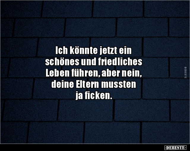 Ich könnte jetzt ein schönes und friedliches Leben.. - Lustige Bilder | DEBESTE.de