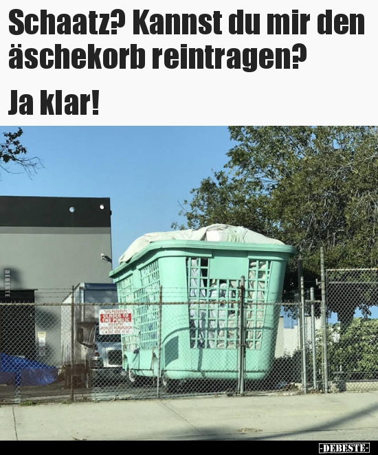 Schaatz? Kannst du mir den äschekorb reintragen?..