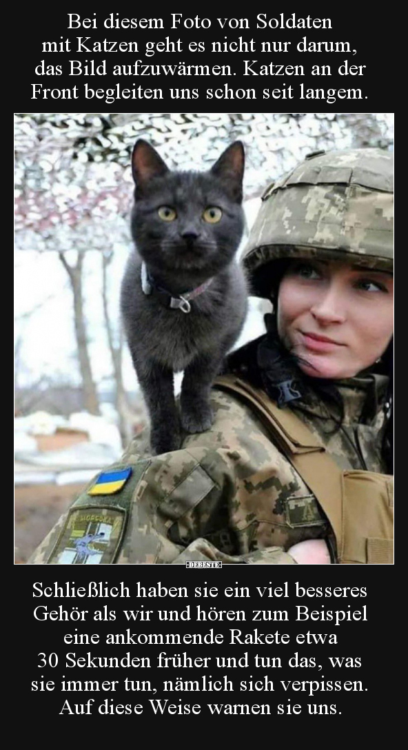 Bei diesem Foto von Soldaten mit Katzen geht es nicht nur.. - Lustige Bilder | DEBESTE.de