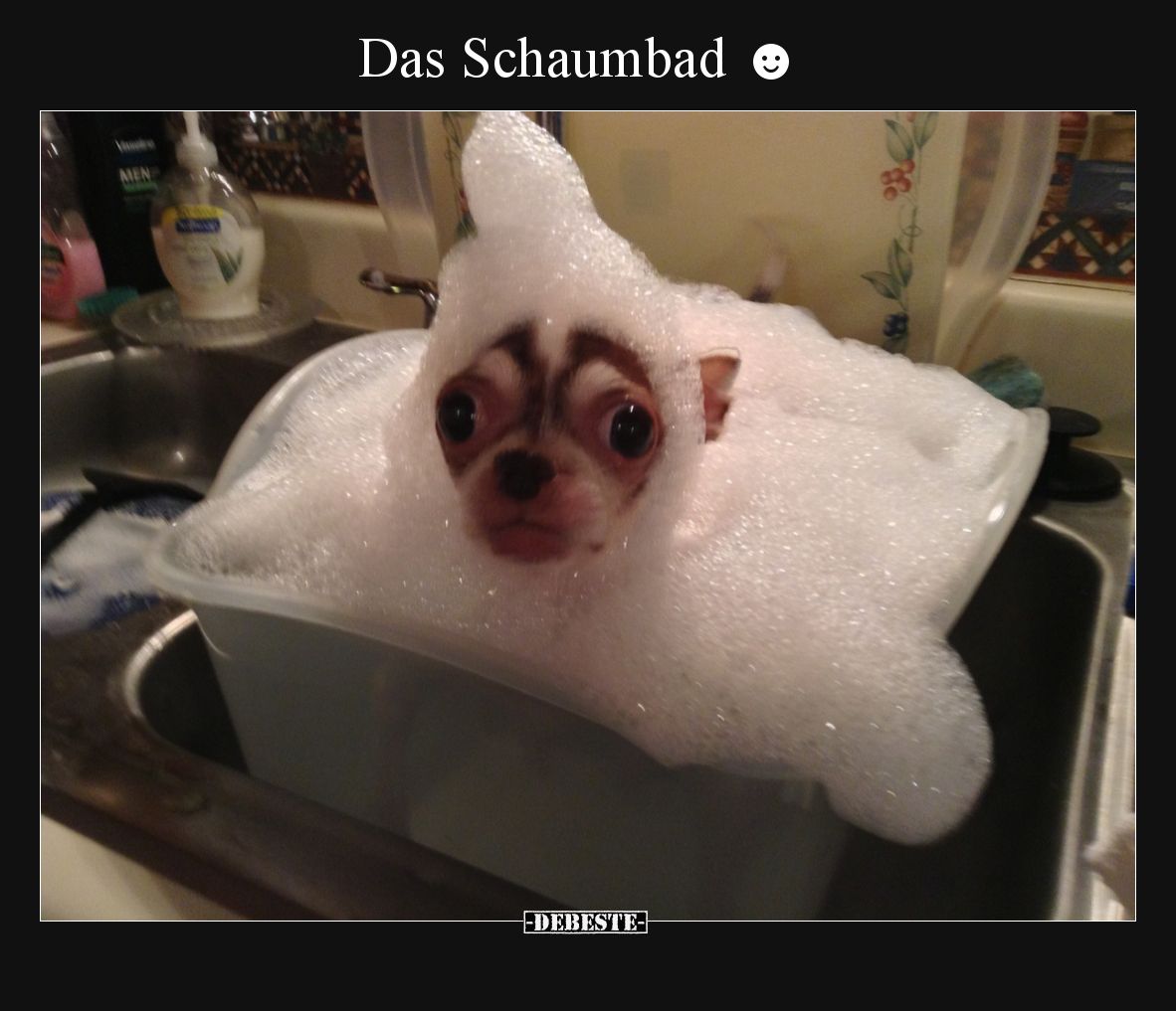 Das Schaumbad