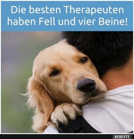 Die besten Therapeuten haben Fell und vier Beine! - Lustige Bilder | DEBESTE.de