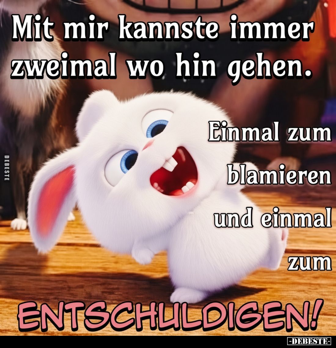 Mit mir kannste immer zweimal wo hin gehen.

Einmal zum blamieren und einmal zum ENTSCHULDIGEN!
