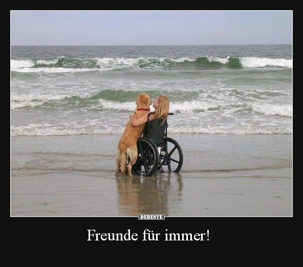 Hunde