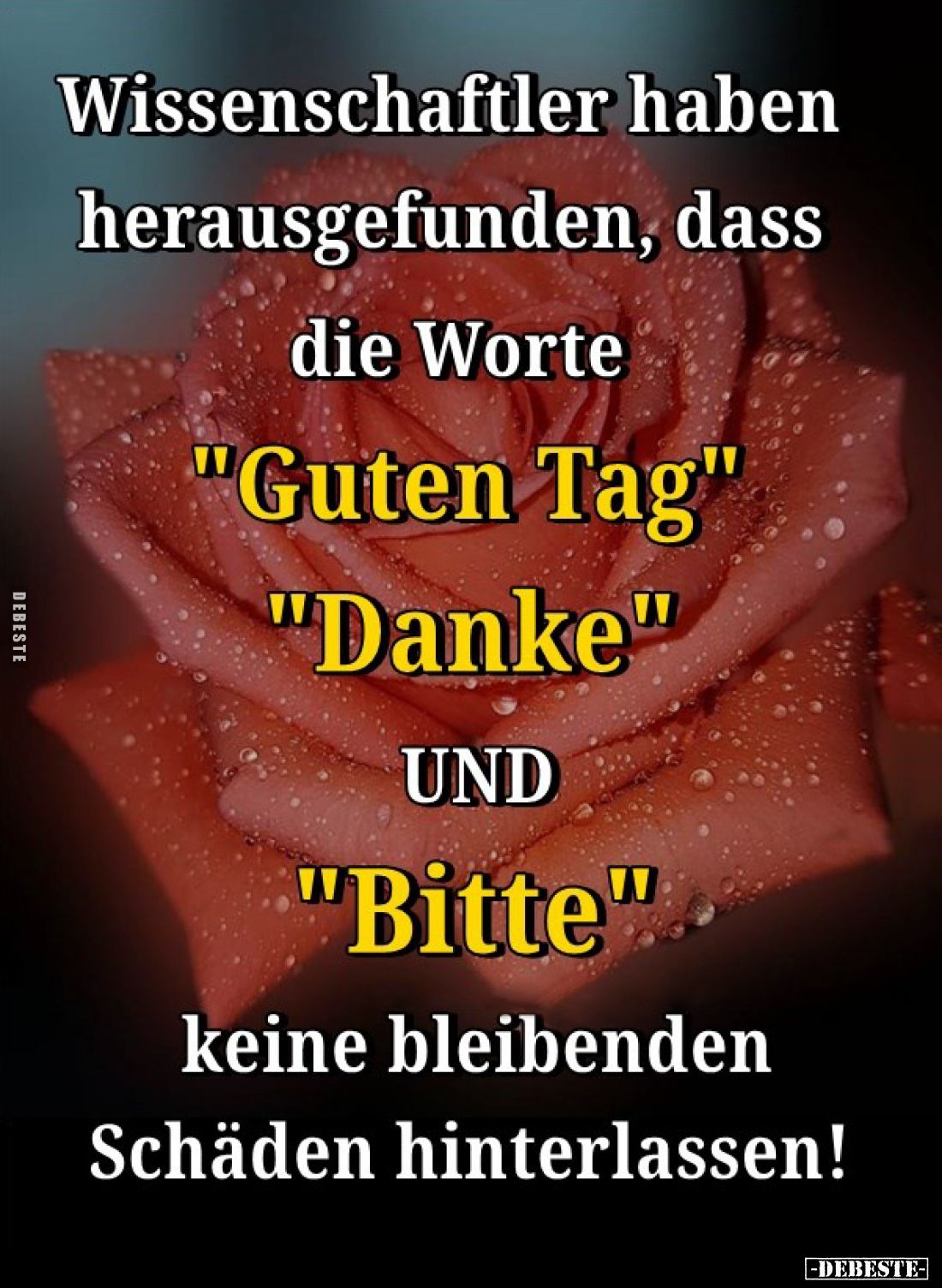 Wissenschaftler haben herausgefunden... - Lustige Bilder | DEBESTE.de