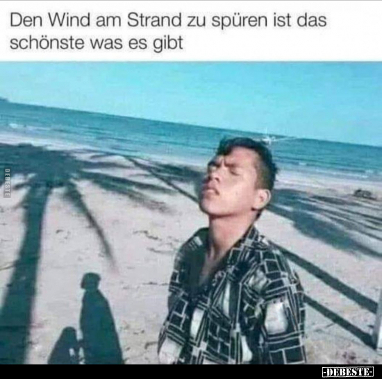 Den Wind am Strand zu spüren ist das schönste was es gibt.. - Lustige Bilder | DEBESTE.de