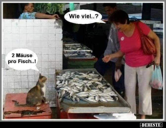 Wie viel...?

2 Mäuse pro Fisch...!