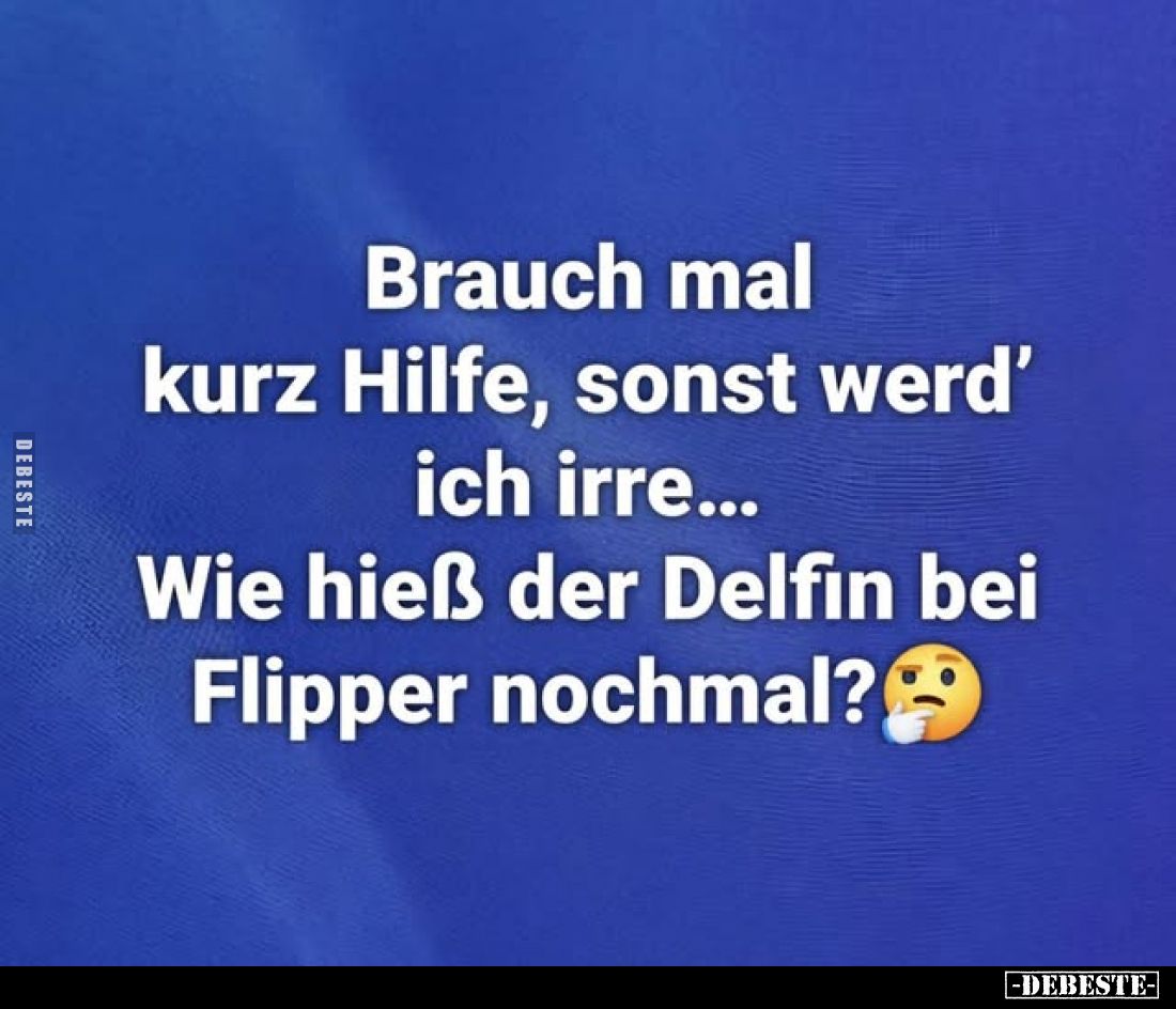 Brauch mal kurz Hilfe, sonst werd' ich irre...
Wie hieß der Delfin bei Flipper nochmal?