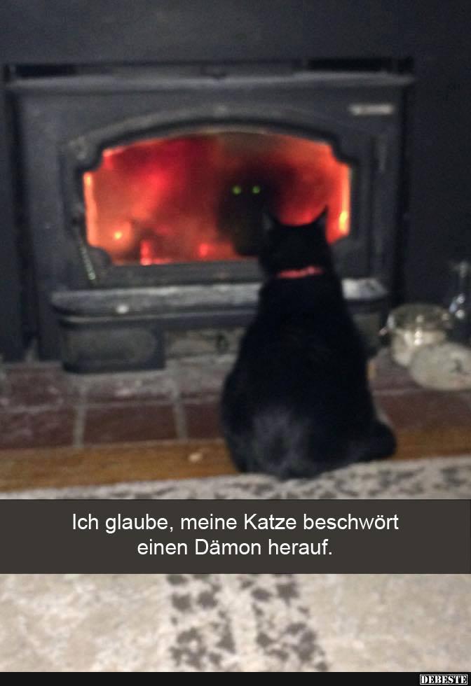 Ich glaube, meine Katze beschwört einen Dämon herauf.. - Lustige Bilder | DEBESTE.de