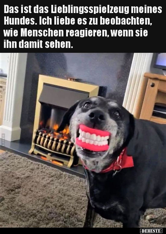 Das ist das Lieblingsspielzeug meines Hundes. Ich liebe es.. - Lustige Bilder | DEBESTE.de