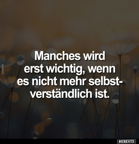 Manches wird erst wichtig, wenn es nicht mehr.. - Lustige Bilder | DEBESTE.de