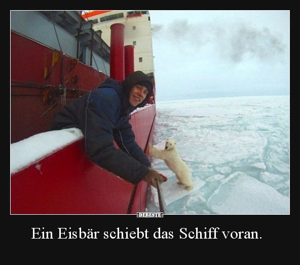 Ein Eisbär schiebt das Schiff voran... - Lustige Bilder | DEBESTE.de