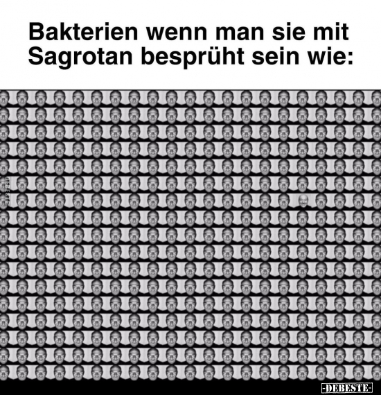 Bakterien wenn man sie mit Sagrotan besprüht.. - Lustige Bilder | DEBESTE.de