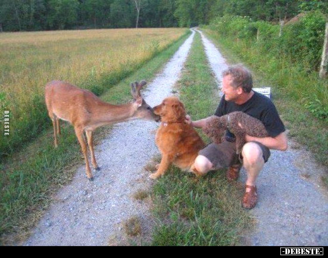  - Lustige Bilder | DEBESTE.de