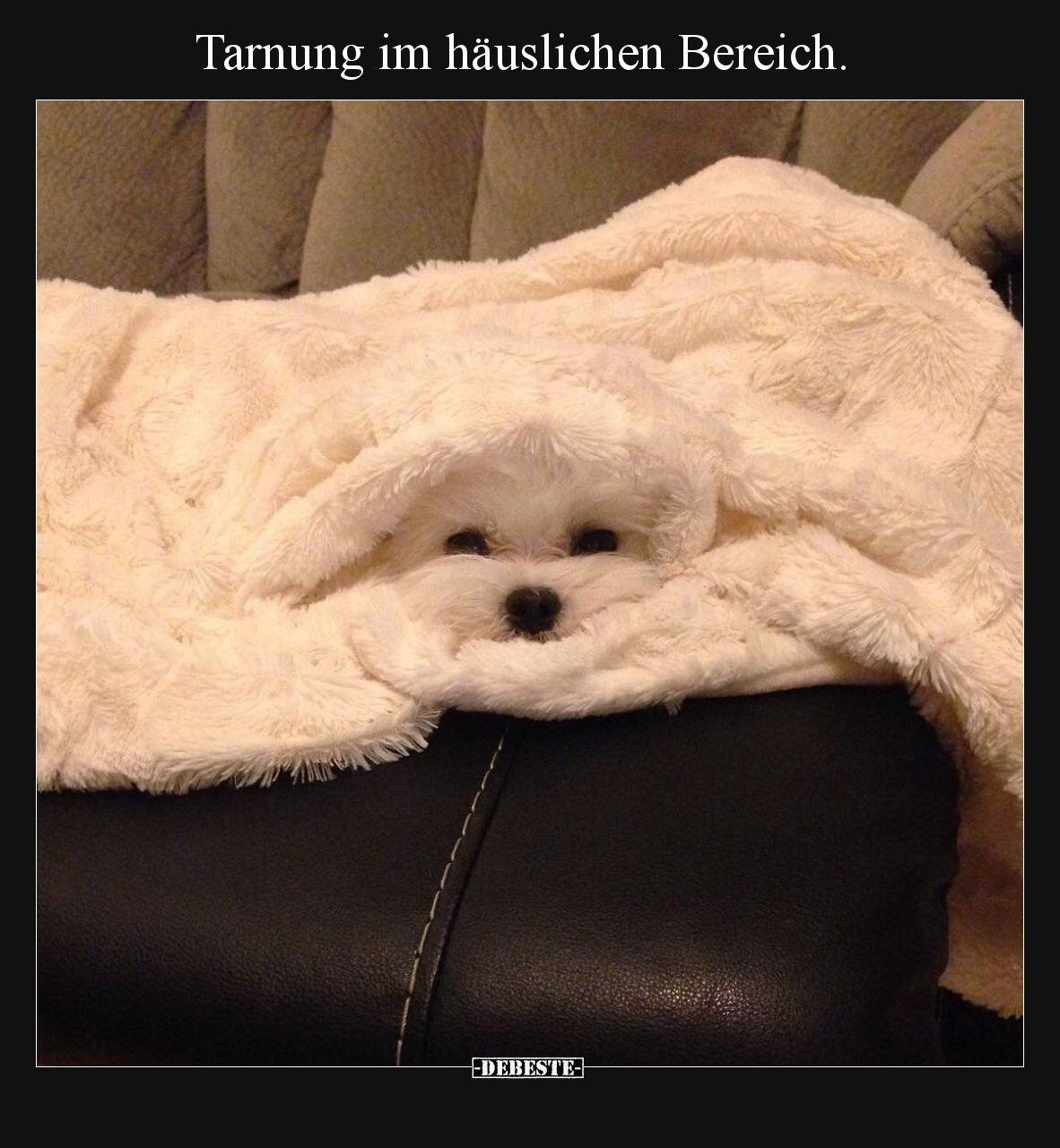 Tarnung im häuslichen Bereich