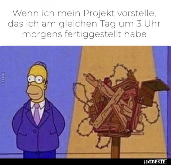 Wenn ich mein Projekt vorstelle.. - Lustige Bilder | DEBESTE.de